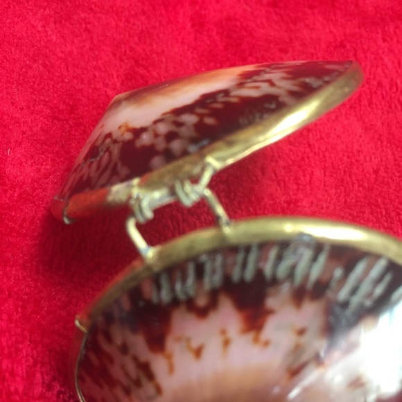 Unique Shell Locket/Box - Picture 7 of 7